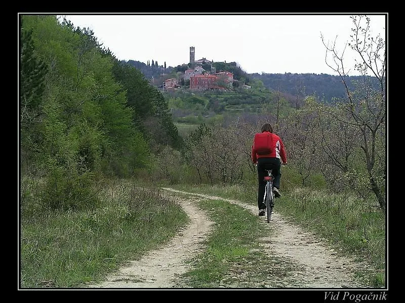 Villa Letizia Oprtalj 0*,  Croazia